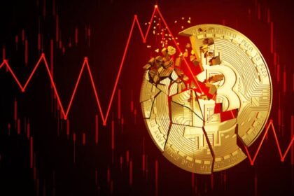 Bitcoin halving red chart and bitcoin crash