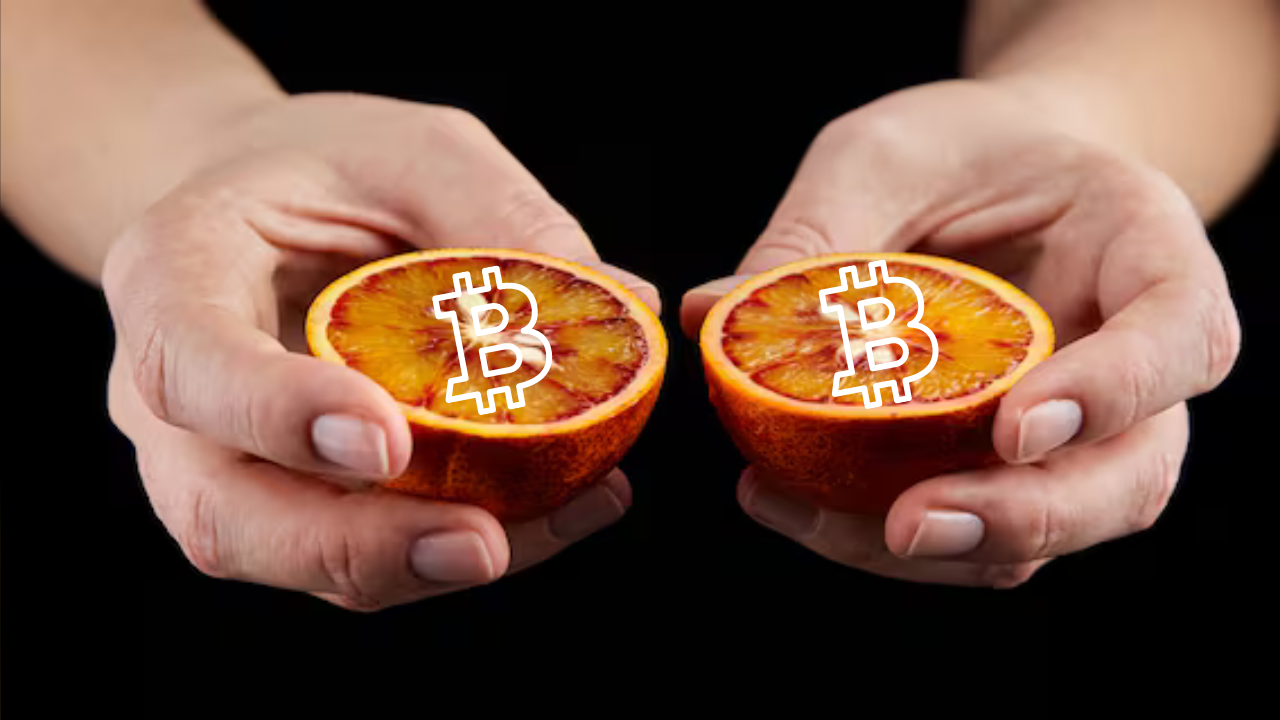 cover image showing Bitcoin Halving into 2 bitcoins