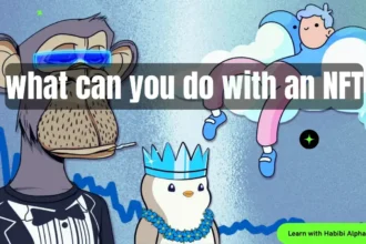 cover image of what can you do with an NFT