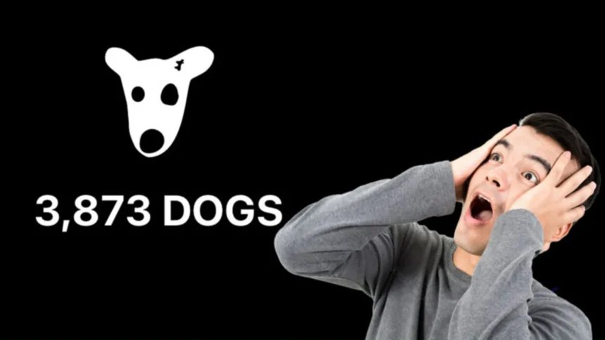 a guy surprised by Dogs Airdrop tutorial